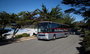 coach & mini at Carmel Beach