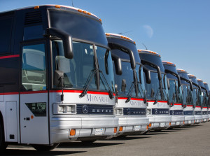 row of buses in yard