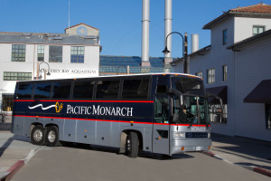 coach at Aquarium